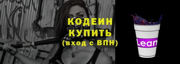соль ск Козельск