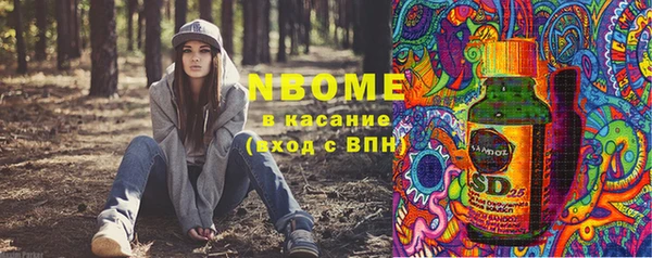 соль ск Козельск