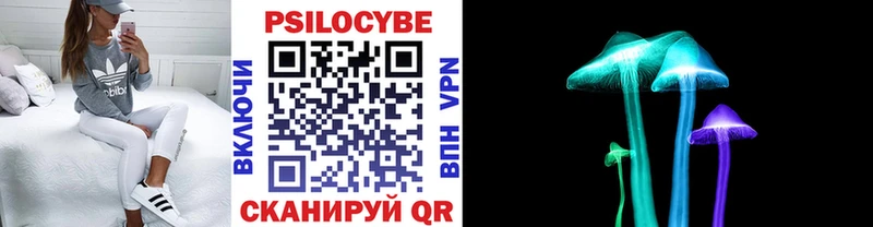 Купить где  Макаров  Псилоцибиновые грибы Psilocybine cubensis 